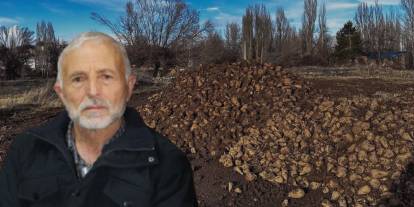 Sivas'ta domuzlar bayram ederken çiftçiler perişan! Amasya Şeker’e büyük tepki!