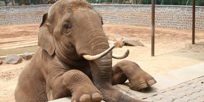 Fatma Şahin’den CHP’li Başarır’a yalanlama