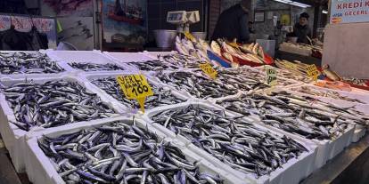 Trabzon'da hamsi ve istavrit 100 liradan satılıyor