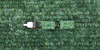 Çiftçiler dikkat! Son başvuru 31 Aralık