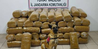 Sivas–Tokat yolunda kaçak tütün operasyonu: 485 kilo ele geçirildi