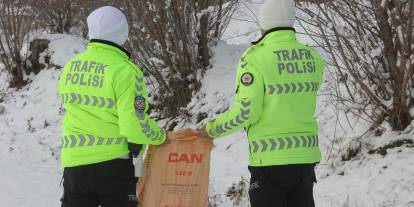 Sivas'ta trafik polisleri yaban hayvanlarını unutmadı