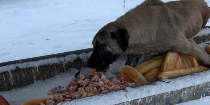 Tipi, ayaz dinlemediler! Şarkışla’da gençlerden örnek davranış