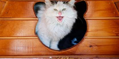 Sivas'ta eksi 19 derecede sıcak bir dokunuş