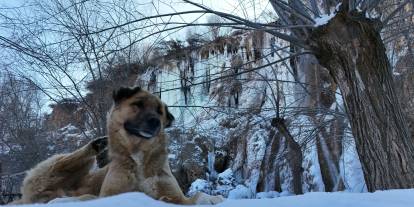 Ne Erzurum ne Kars... Türkiye'nin en soğuk yeri Sivas
