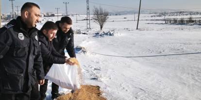 Sivas Belediyesi’nden doğal yaşama destek