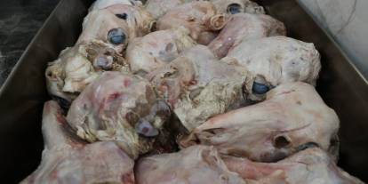 Ürkütücü görüntüsüne rağmen Sivaslılar afiyetle tüketiyor