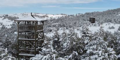 Kardeşler Ormanı'ndan 'karlı' Sivas manzarası
