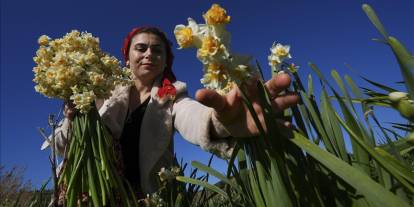 Aile bütçelerine "mis kokulu" destek