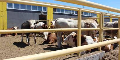 Sivas'ta 23 projeye TKDK desteği