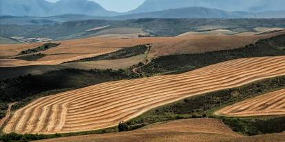 Kangal’da tapuda sahtecilik iddiasında memur görevden alındı