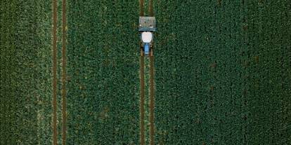 Hububatta üretim ve verim artışında yağışlar belirleyici olacak