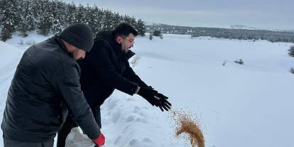 Yabani hayvanlar unutulmadı
