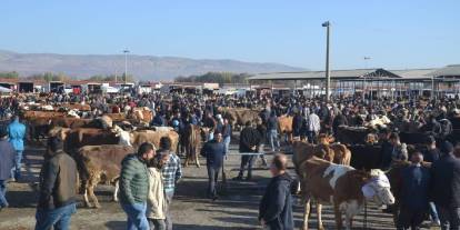 Şarkışla’da Hayvan Pazarı kapatıldı