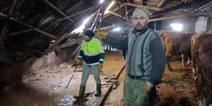 Komşular seferber oldu, hayvanlar son anda kurtarıldı