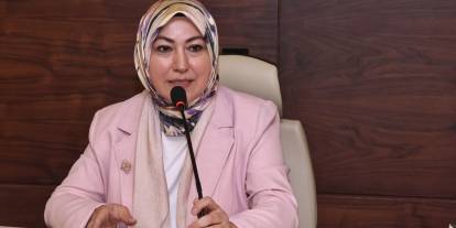 Toy: "Üvey evlat yakıştırması yanlıştır"