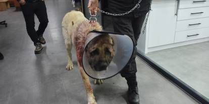 Sivas’ta şoke eden ameliyat: Boğazından 9 kilo çıktı