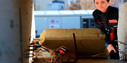 Afrika keseli sıçanları enkaz altındaki "göz" olacak