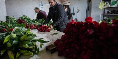 Seralarda Sevgililer Günü mesaisi