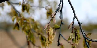 Üreticilere verilen destekler arttı