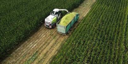 Tarım ÜFE ocakta aylık bazda yüzde 8,46 arttı