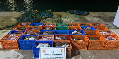 Ülkeye kaçak getirilen 300 kalkan balığı ele geçirildi