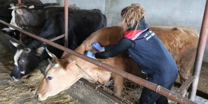 Hayvan sağlığı ve refahı uluslararası işbirlikleriyle korunacak