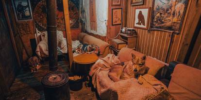 Sivas'ın bozkırında hayatını adadığı kurt köpekleri ve yırtıcı kuşlarıyla yaşıyor