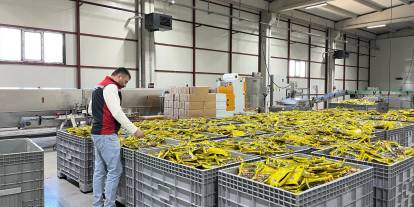 Sivas’ta hibe destekli dev yatırımda ilk kritik denetim!