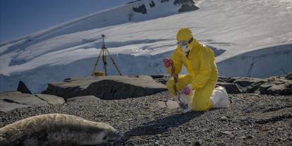 Türk bilim insanları Antarktika'daki araştırmalarıyla sağlık ve tarıma ışık tutuyor
