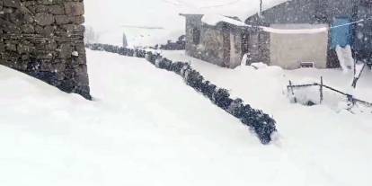 Keçilerin inadı kara yenilmedi!