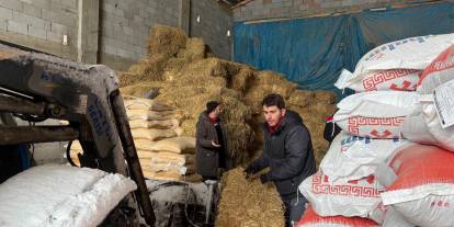 Mahsur kalan 200 büyükbaş için ekipler seferber oldu