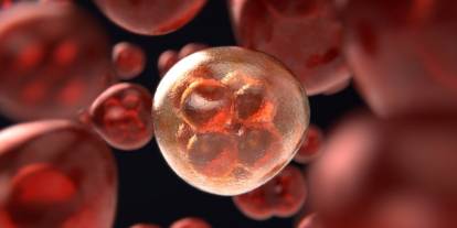 Erken teşhis hayat kurtarıyor