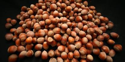 Fındık ihracatı geliri yüzleri güldürdü