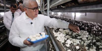 Sivas’ta mantar üretimi büyüyor, istihdam artıyor