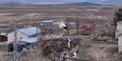 Sivas’ın Leylekli köyü misafirlerini ağırlıyor