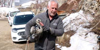 2,5 ay bakımını yaptı, leyleği özgürlüğüne kavuşturdu