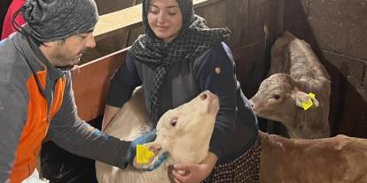 Sivas'ta hayvan sağlığı için yoğun mesai