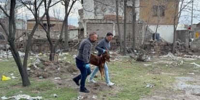 Başıboş köpeğin saldırdığı 3 yaşındaki çocuk ağır yaralandı