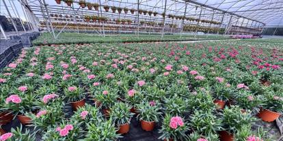 Kurakçıl peyzajda "sözleşmeli üretim modeli" talebi