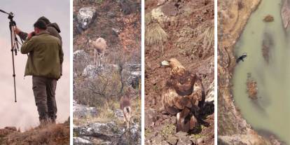 Sivas'taki vahşi yaşam objektiflere yansıdı