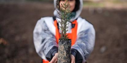 Kasıma kadar hedef 600 milyon fidana ulaşmak
