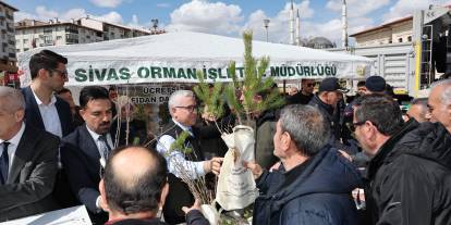 Daha yeşil bir Sivas için 20 bin fidan!