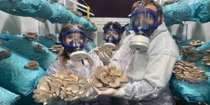 Hobi olarak başladı, günde 1 tona yakın hasat elde ediyor