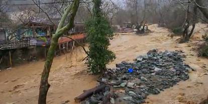 Yalova’da sel felaketi: 5 büyükbaş hayvan telef oldu