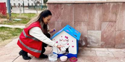 Sivas'ta üniversite öğrencilerinden "Can Dostlarına" sıcak yuva dokunuşu