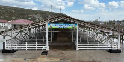 Sivas'ta kurban pazarı için hummalı hazırlık