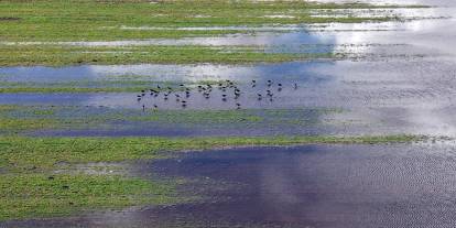 Hafik'te yağışlar gölet oluşturdu