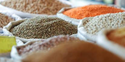 Hububatçılar umutlu...