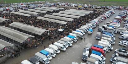 Sivas’ta kurban pazarı canlandı! Gözler fiyatlarda